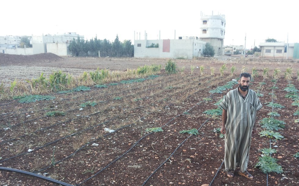 CARE’s partner Emissa initiated a farming project in spring 2017, providing some of the most vulnerable families in the besieged area of Northern Homs with agricultural inputs such as seeds and tools