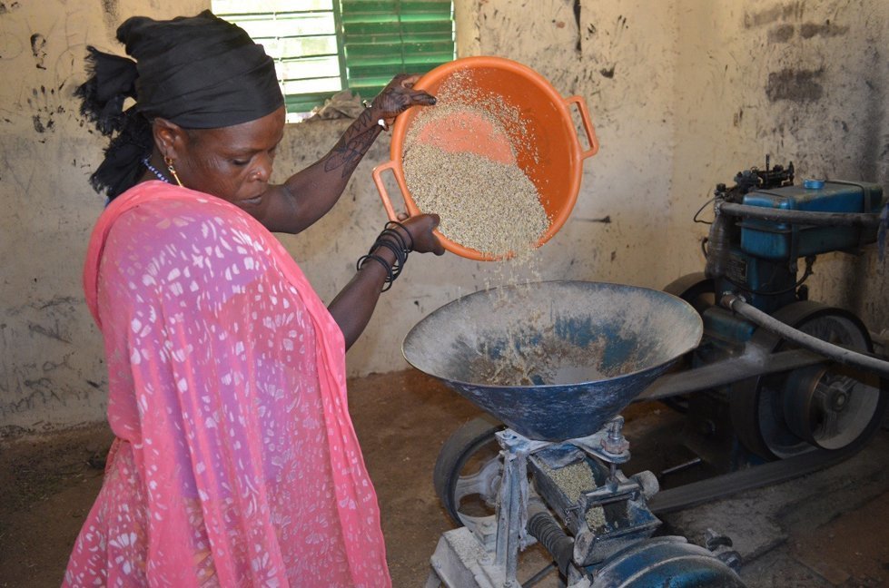 Grinding the millet to make bassi