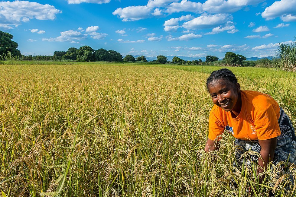 Photo essay: Women farmers around the world