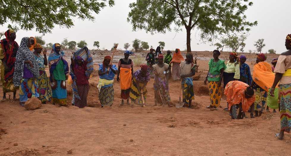 Women on the move: Transforming dry lands into crops in Niger