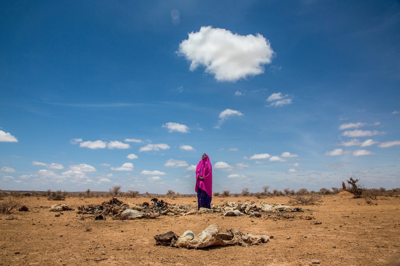 CARE Canada launches call to action in support of women’s leadership and resilience on the front lines of climate change and humanitarian crises