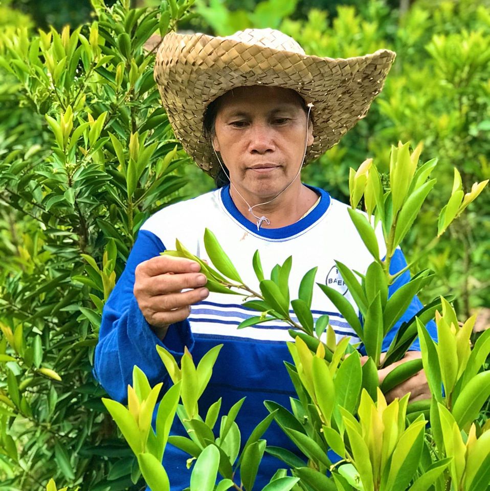 Amalia Batallones is a farmer in San Dionisio, Iloilo in the Philippines. Photo: CARE