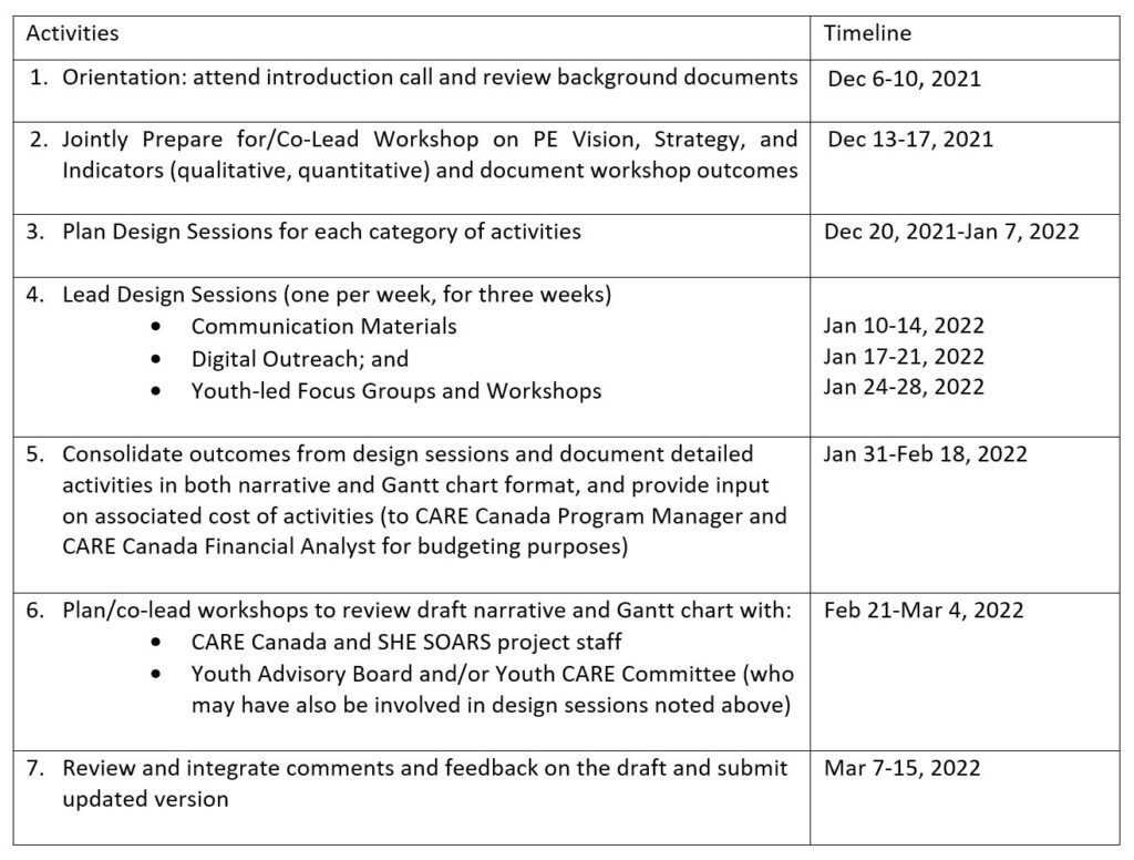 SHE SOARS consultant activities timeline