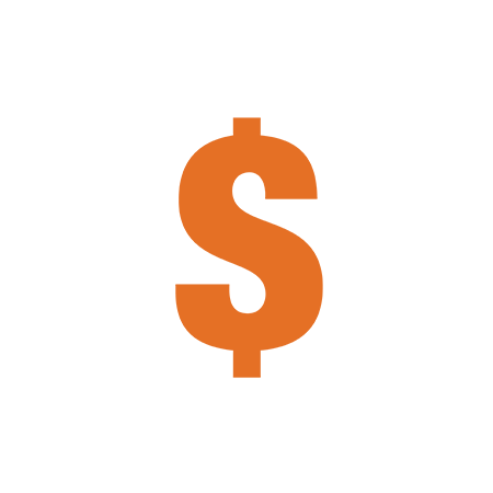livelihood dollar orange icon
