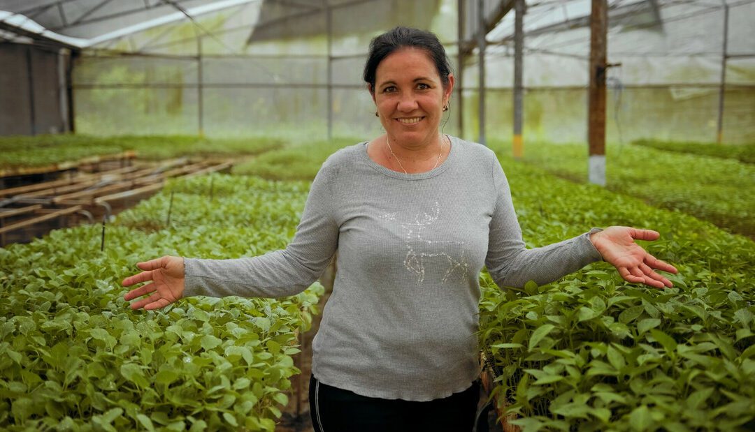 She Produces Too – Cuba