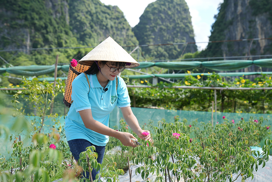Pham Phuong Thao a lancé un commerce de fleurs et de plantes ornementales il y a quatre ans et emploie aujourd'hui six personnes. CARE Vietnam