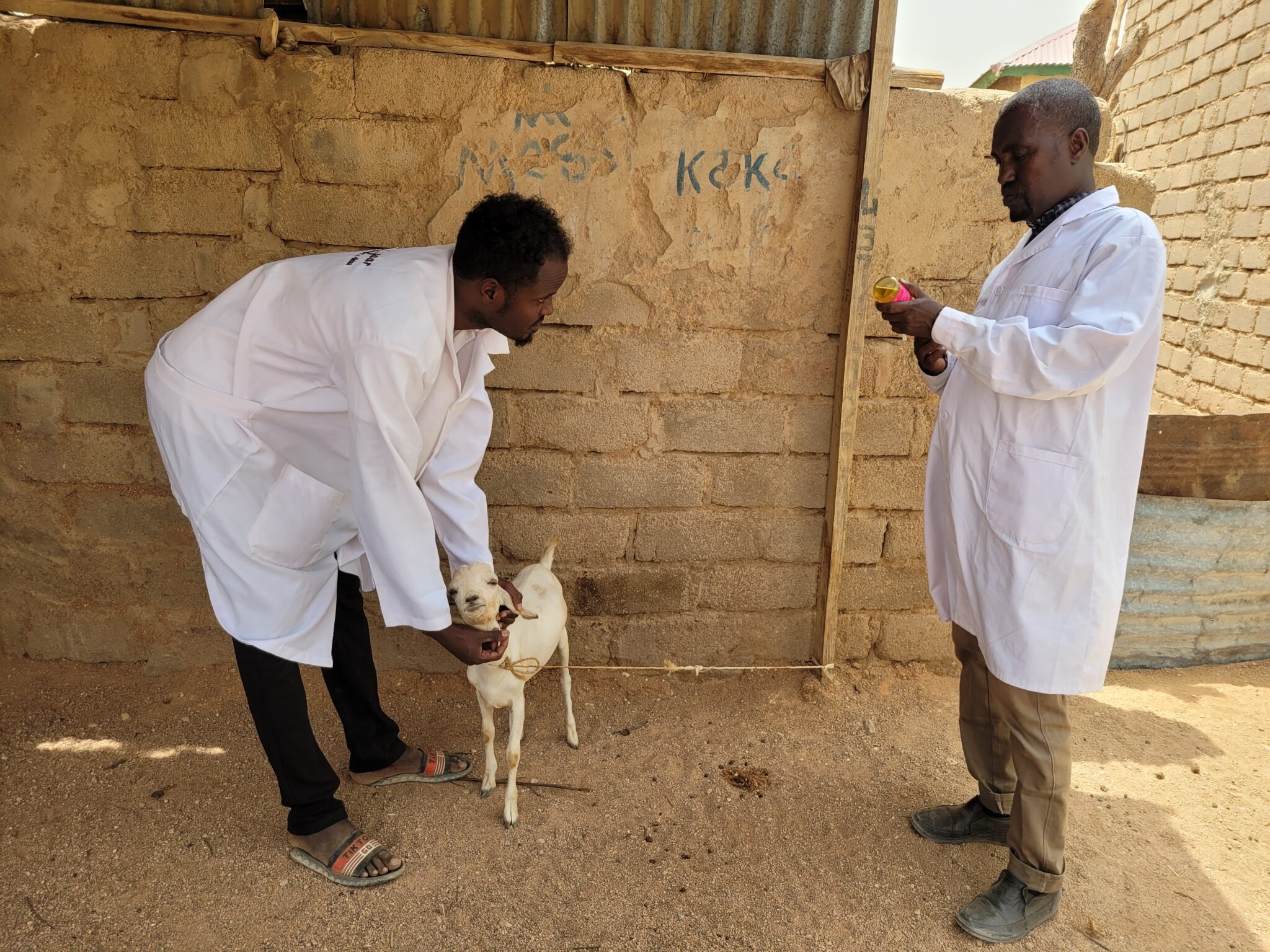 Two men in lab coats one of them is holding a goat