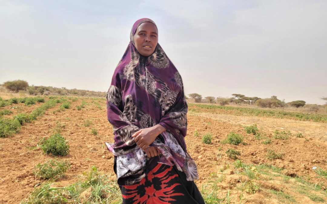 Responding to the drought in Somalia: “My life and that of my family depends on the harvest”