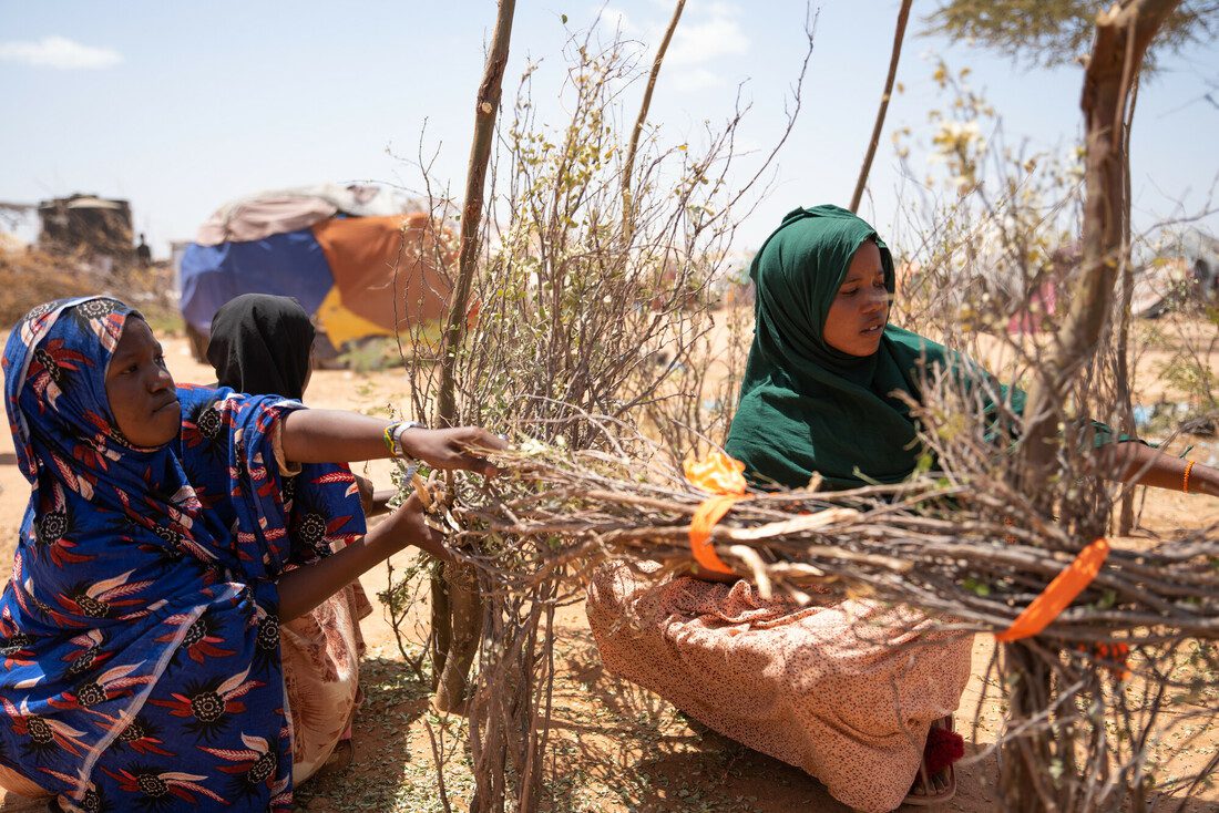 Two women in a very dry, desert-like area gather sticks to build a temporary shelter.