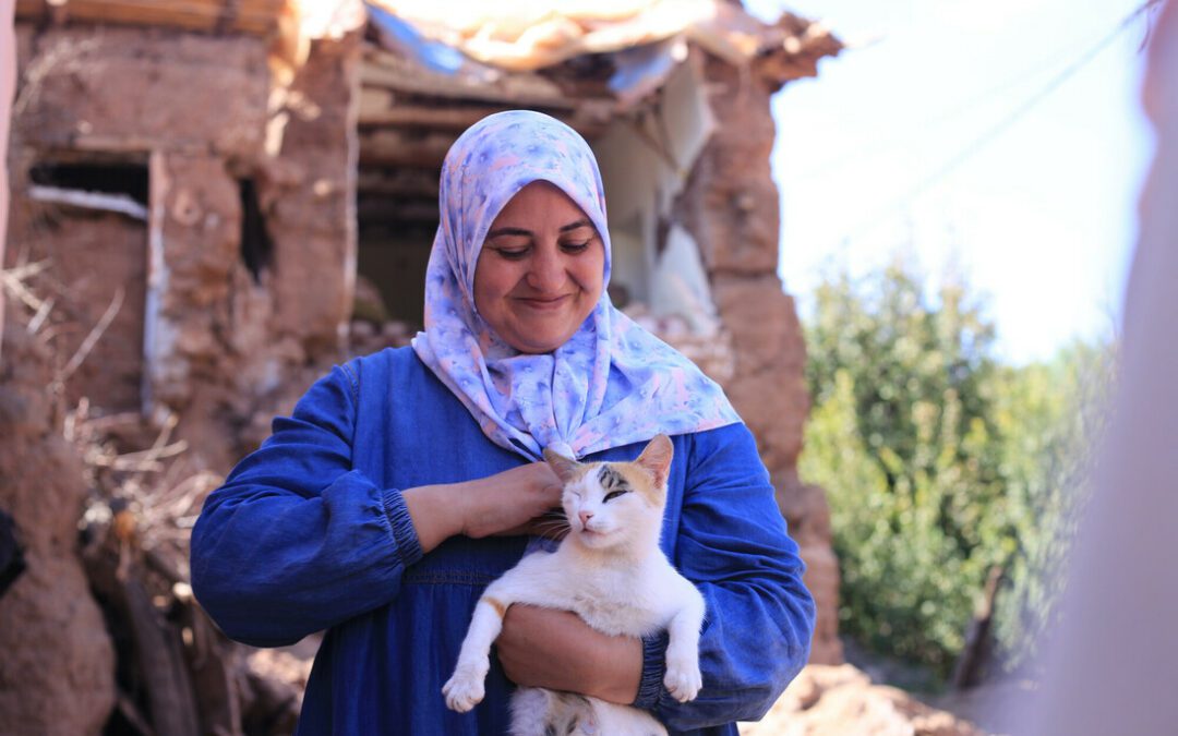 Les chatons de Mimi : un symbole d’espoir après le séisme au Maroc