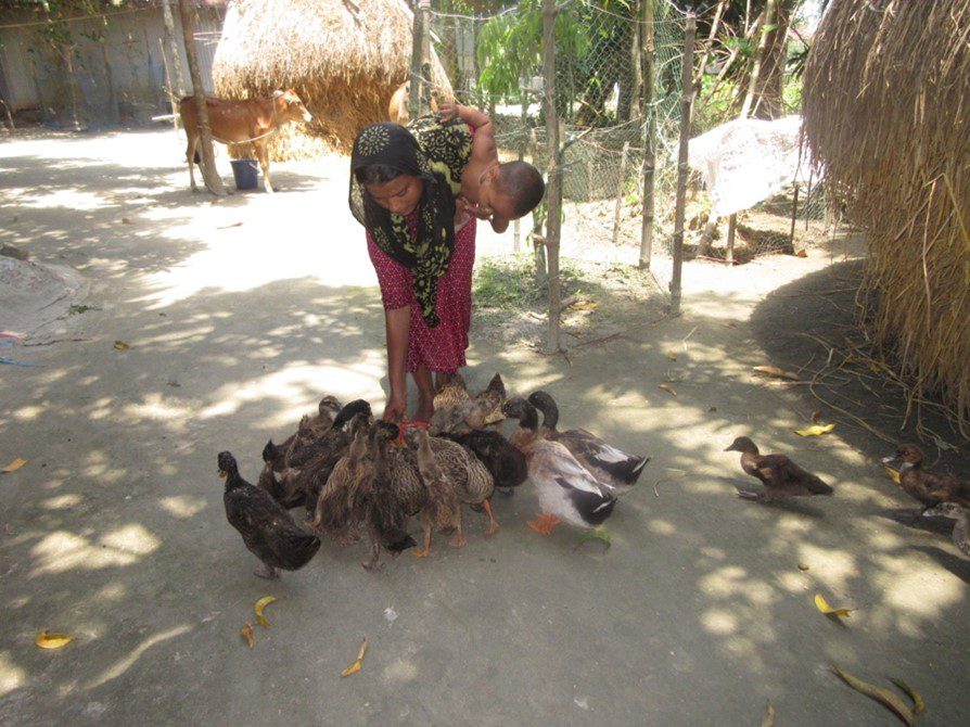 A girls feeds chickens