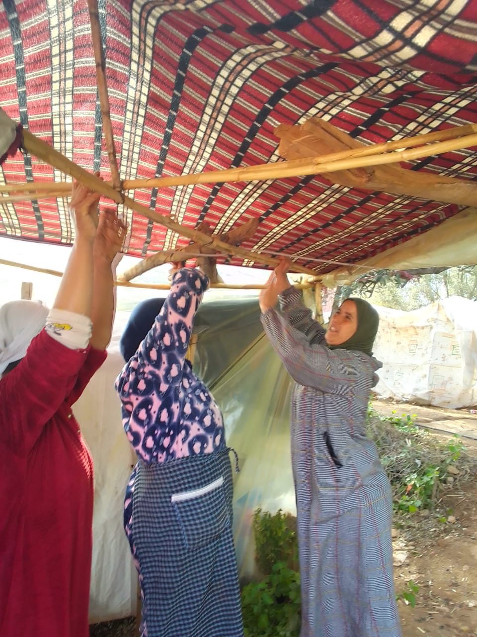 Groupe de trois femmes installant une tente.