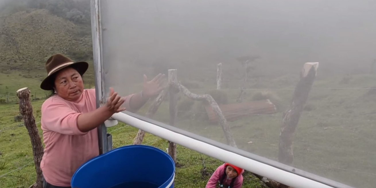 Turning fog into water in Ecuador