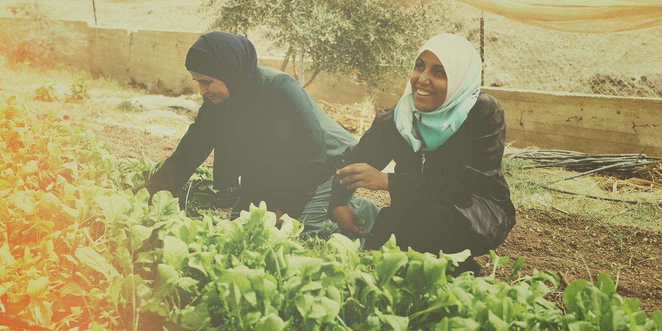 <p>
 Raida and Iman are founding members of a cooperative of female organic farmers in a remote community in&nbsp;Nassareyeh in the Jordan Valley in the West Bank.&nbsp;</p>
<p>
 What started as a small project grew and the group learned all they could about farming, even asking other male farmers in their communities for advice. They were so successful, that their farm became a model for others.</p>
<p>
 In the beginning, we sent boxes of tomatoes to communities. But then we thought to invite women here so they could choose their produce themselves. This got them out of their homes and they were getting a customized product. This created a great local market for us and we focused on growing it.&rdquo;</p>
<p>
 There was an announcement in the community that CARE was seeking groups to apply for a project and do some training. The group was wary because they had done this many times with other organizations and it didn&rsquo;t work out as they had hoped. This time was different though.</p>
<p>
 &ldquo;CARE gave us the chance to put everything we learned into practice,&rdquo; says Iman. &ldquo;They didn&rsquo;t give us a business plan that they made for us to implement. We were to develop it ourselves with their guidance. We walked through the process by ourselves. They encour