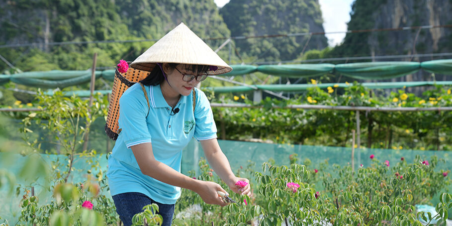 Pham Phuong Thao set up a business selling flowers and ornamental plants four years ago and now employs six people. CARE Vietnam